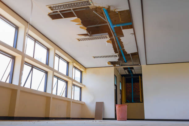 Best 24/7 water damage repair  in Wolfforth, TX
