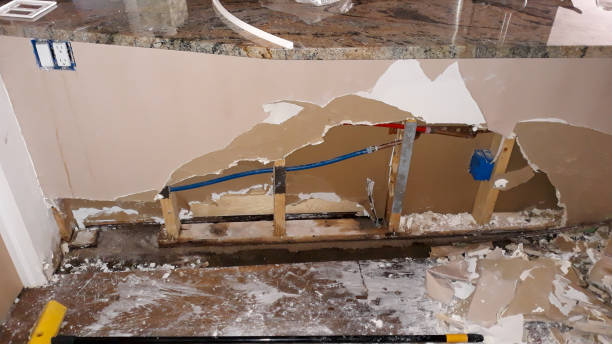 Best Water damage restoration cost  in Wolfforth, TX