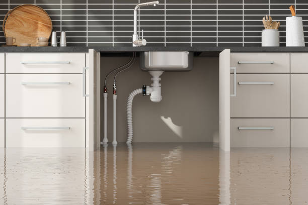 Best Basement water damage restoration  in Wolfforth, TX