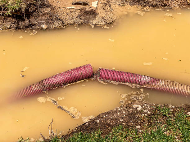 Best Carpet water damage restoration  in Wolfforth, TX