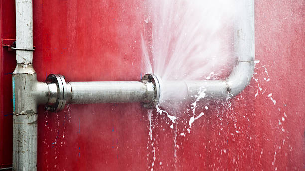 Best Professional water damage repair  in Wolfforth, TX